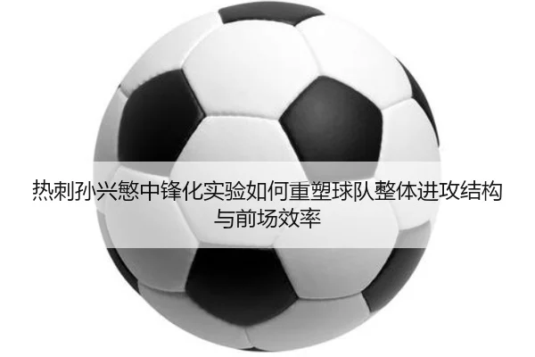 img_1781276666431_739_1_410.jpg